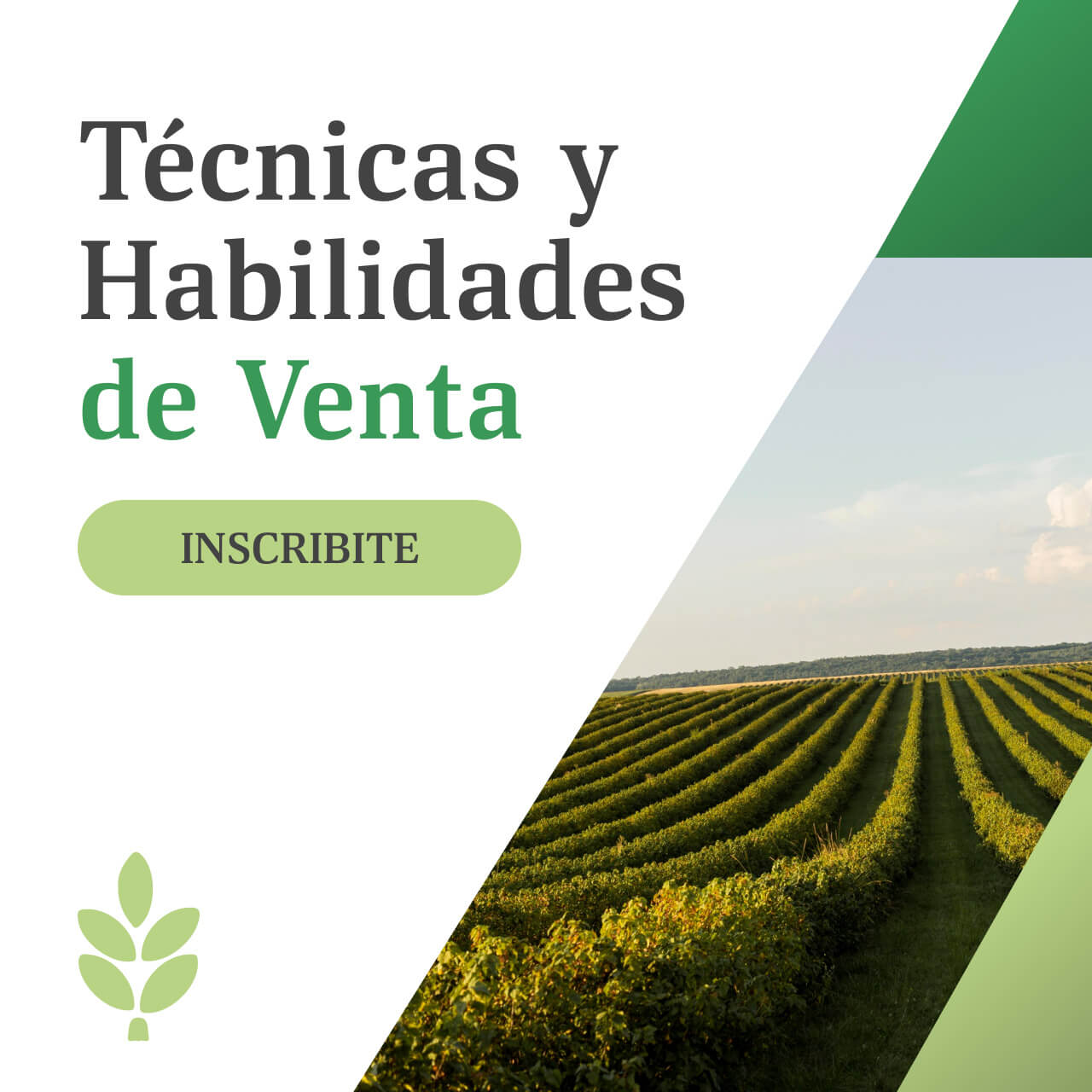 Curso Técnicas y Habilidades de Venta Alberto Bunge
