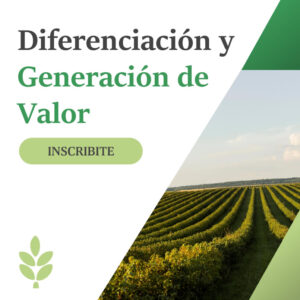 Diferenciación y Generación de Valor