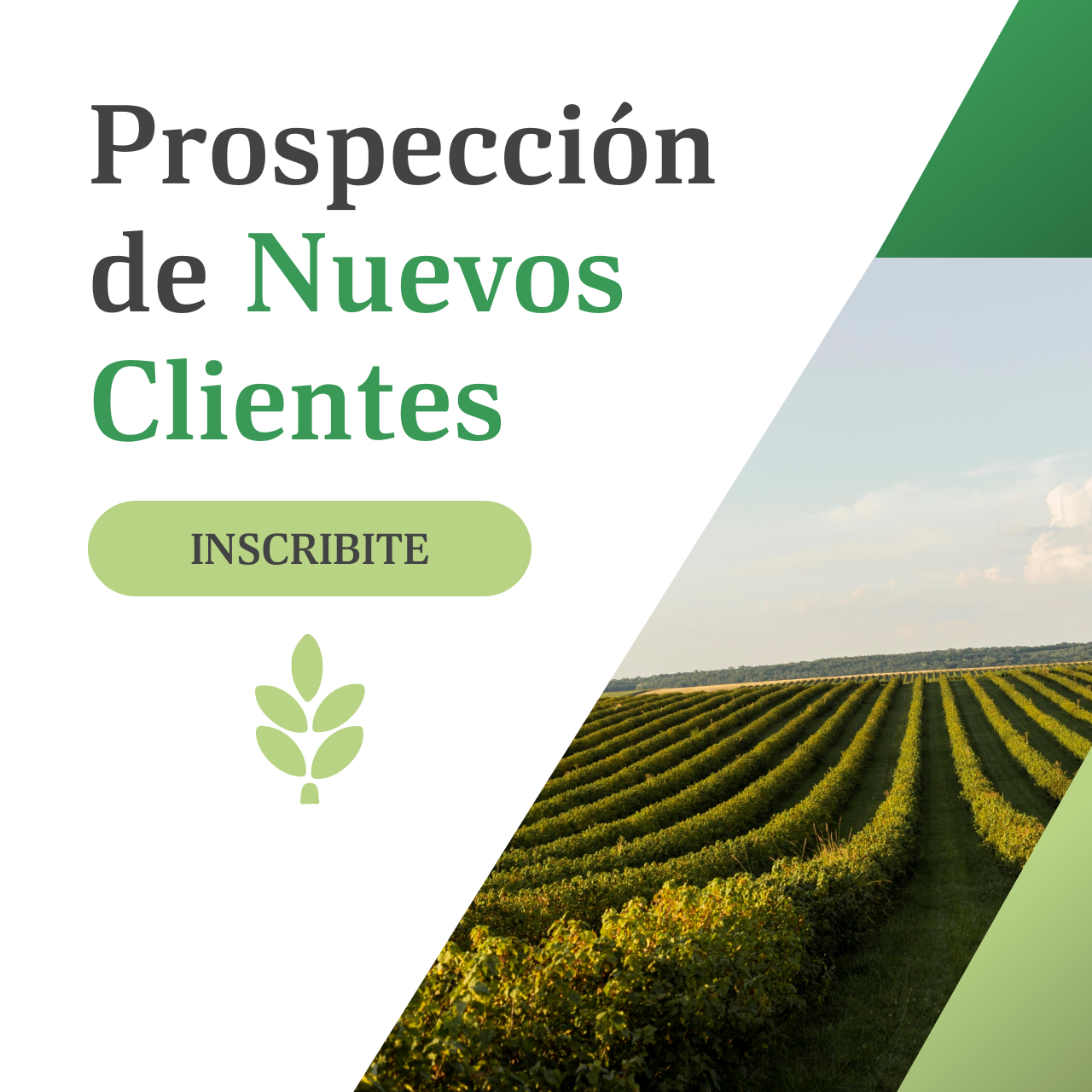 prospeccion de nuevos clientes
